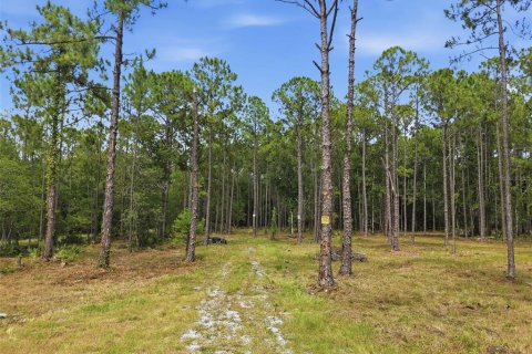 Land in Odessa, Florida № 2147823 - photo 7