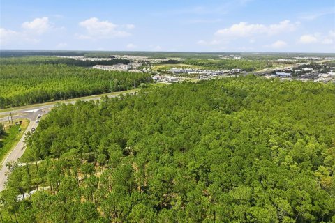Land in Odessa, Florida № 2147823 - photo 12