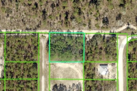Land in Weeki Wachee, Florida № 1686845 - photo 5