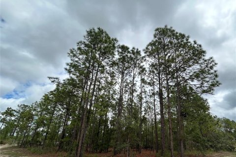 Land in Weeki Wachee, Florida № 1686845 - photo 2