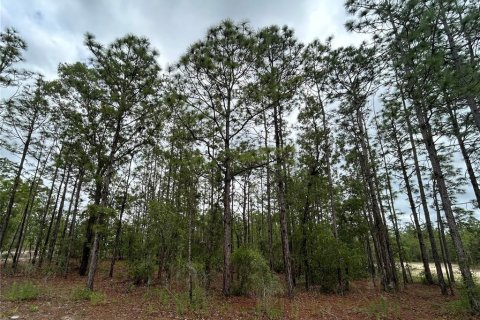 Land in Weeki Wachee, Florida № 1686845 - photo 1