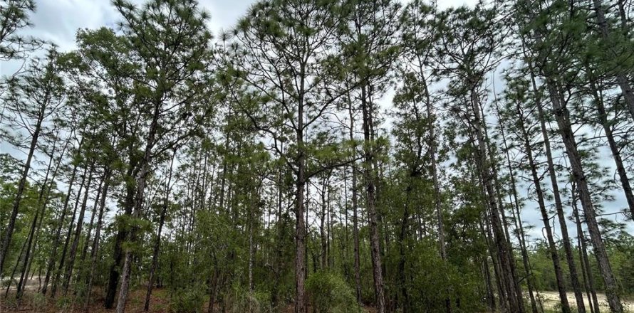 Land in Weeki Wachee, Florida № 1686845