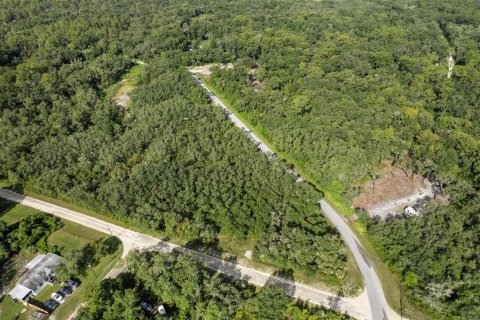 Land in Webster, Florida № 2163110 - photo 3