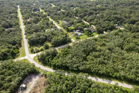 Land in Webster, Florida № 2163110 - photo 8