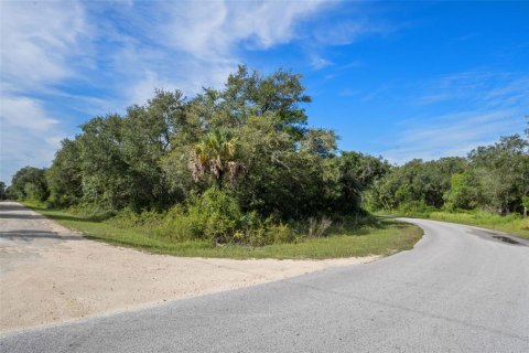 Land in Webster, Florida № 2163110 - photo 17