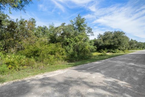 Land in Webster, Florida № 2163110 - photo 15