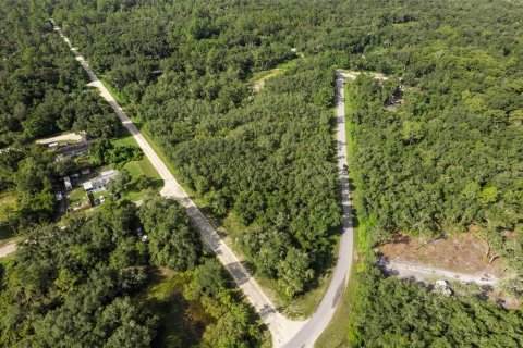 Land in Webster, Florida № 2163110 - photo 4