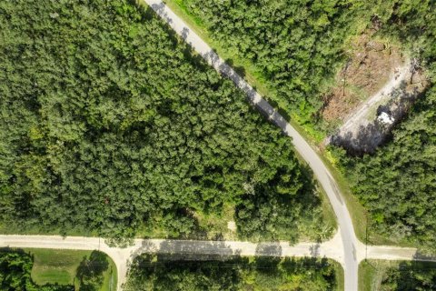 Land in Webster, Florida № 2163110 - photo 14