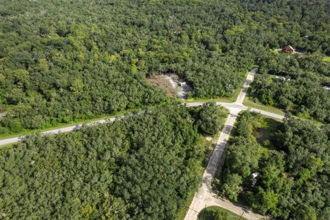 Land in Webster, Florida № 2163110 - photo 13