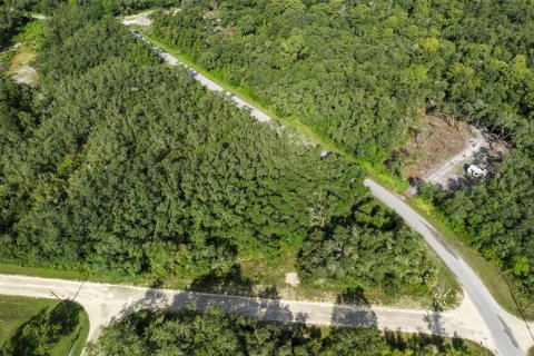 Land in Webster, Florida № 2163110 - photo 2