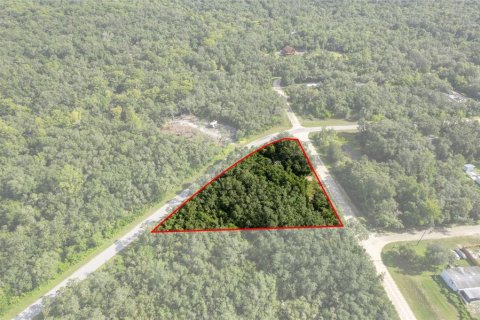 Land in Webster, Florida № 2163110 - photo 12