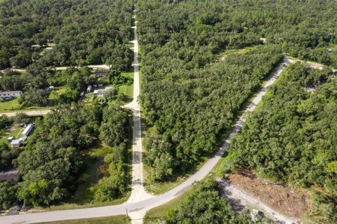 Land in Webster, Florida № 2163110 - photo 5