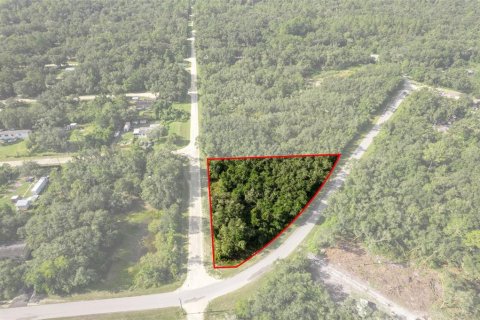Land in Webster, Florida № 2163110 - photo 6