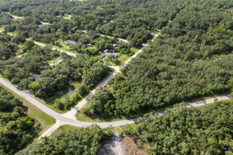 Land in Webster, Florida № 2163110 - photo 7