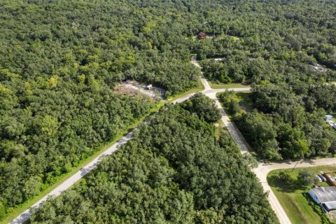 Land in Webster, Florida № 2163110 - photo 11