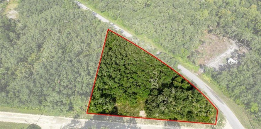 Land in Webster, Florida № 2163110