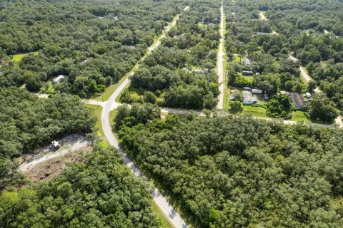 Land in Webster, Florida № 2163110 - photo 10