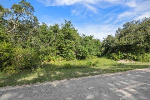 Land in Webster, Florida № 2163110 - photo 16