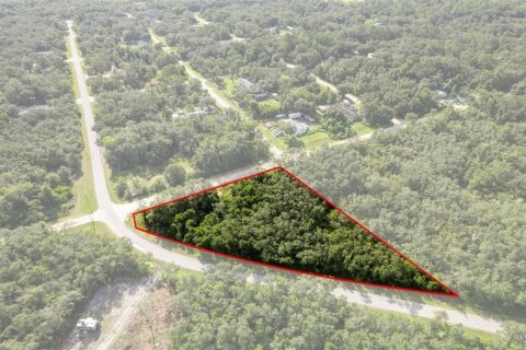 Land in Webster, Florida № 2163110 - photo 9