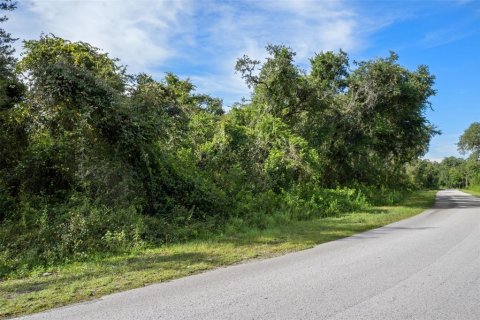 Land in Webster, Florida № 2163110 - photo 18