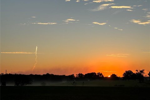 Снять в аренду виллу или дом в Дейд-Сити, Флорида 5 комнат, 257.9м2, № 1784838 - фото 28