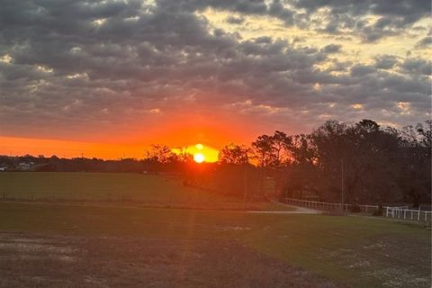 Снять в аренду виллу или дом в Дейд-Сити, Флорида 5 комнат, 257.9м2, № 1784838 - фото 25