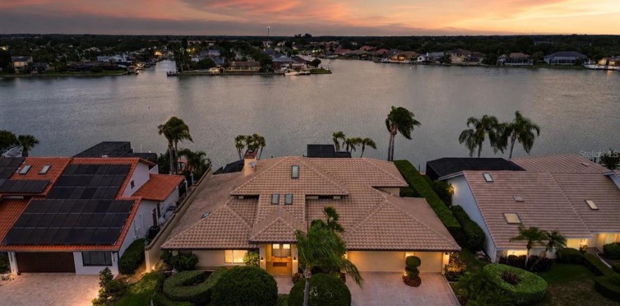 House in Tampa, Florida 4 bedrooms, 302.77 sq.m. № 2215806