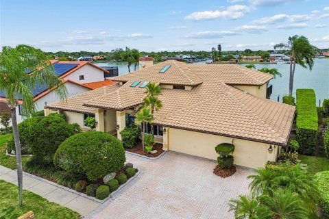House in Tampa, Florida 4 bedrooms, 302.77 sq.m. № 2215806 - photo 3