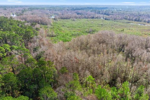 Casa en venta en Dunnellon, Florida, 2 dormitorios, 113.81 m2 № 1771766 - foto 25