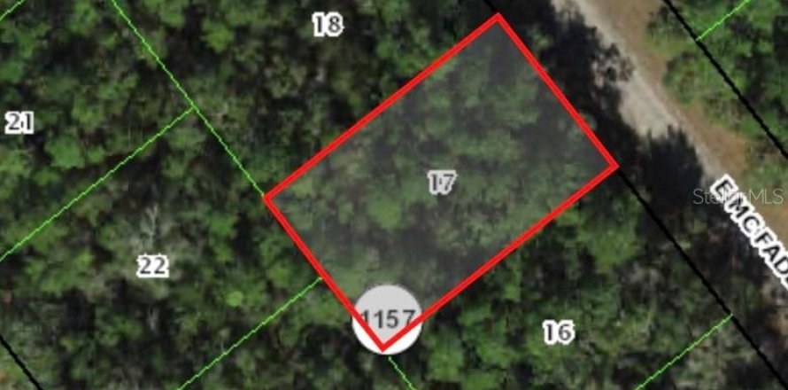 Terrain à Dunnellon, Floride № 2162107