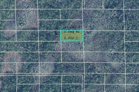 Land in Orlando, Florida № 2218725 - photo 2