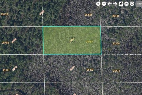Terreno en Orlando, Florida № 2218725