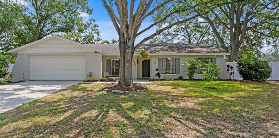 House in Temple Terrace, Florida 4 bedrooms, 185.8 sq.m. № 1680845