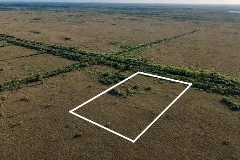 Land in Homestead, Florida № 2221195