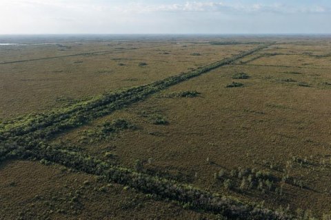 Terrain à vendre à Homestead, Floride № 2221195 - photo 6