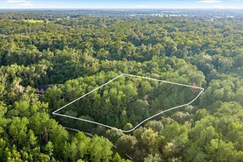 Land in Ocala, Florida № 2367019