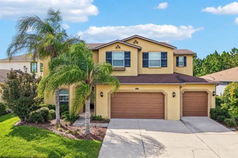 House in Wesley Chapel, Florida 5 bedrooms, 412.39 sq.m. № 2367037