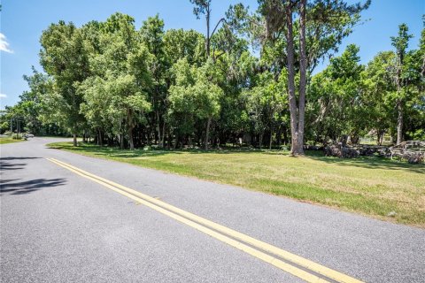 Terreno en venta en Ocala, Florida № 1544889 - foto 3