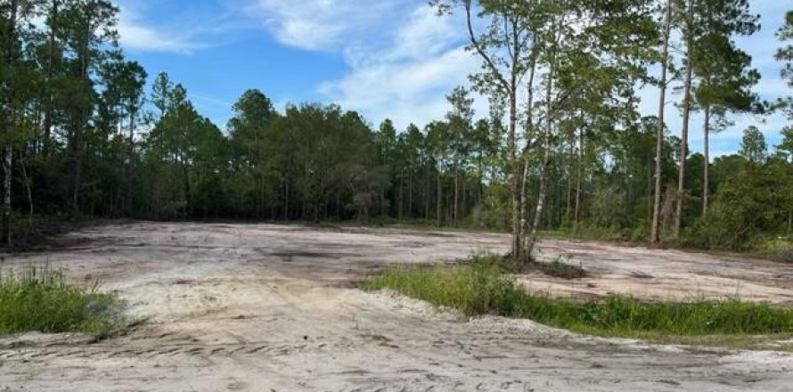 Land in Hastings, Florida № 855268