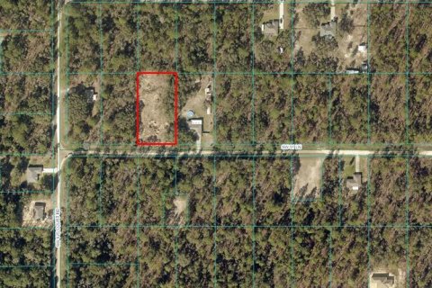 Land in Dunnellon, Florida № 1803677 - photo 9