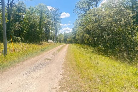 Land in Dunnellon, Florida № 1803677 - photo 4