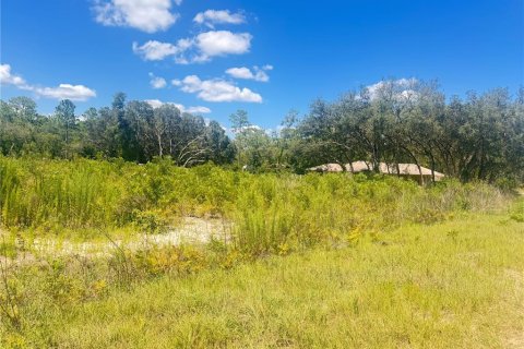 Land in Dunnellon, Florida № 1803677 - photo 3