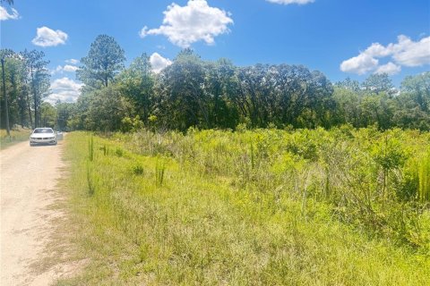 Land in Dunnellon, Florida № 1803677 - photo 8