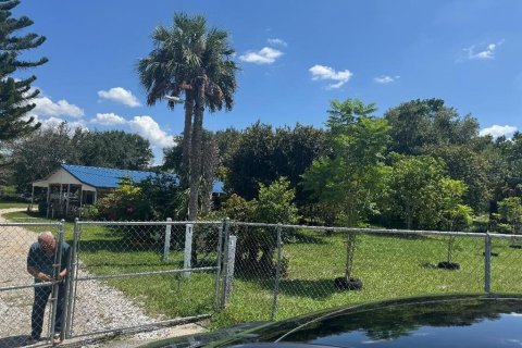 Commercial property in Davenport, Florida 84.73 sq.m. № 2211955 - photo 10