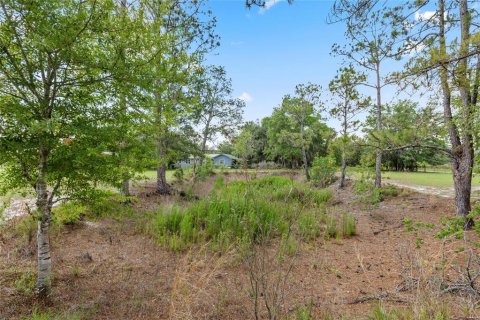 House in Brooker, Florida 3 bedrooms, 145.48 sq.m. № 2100701 - photo 2