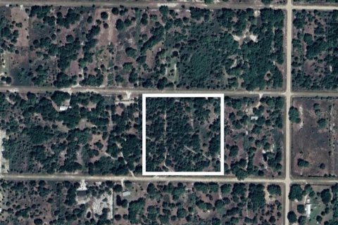 Land in Okeechobee, Florida № 1789438 - photo 1