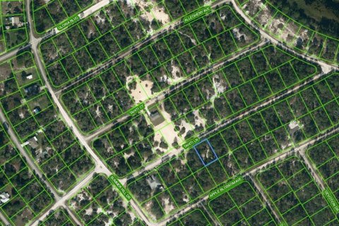 Land in Lake Placid, Florida № 2209279