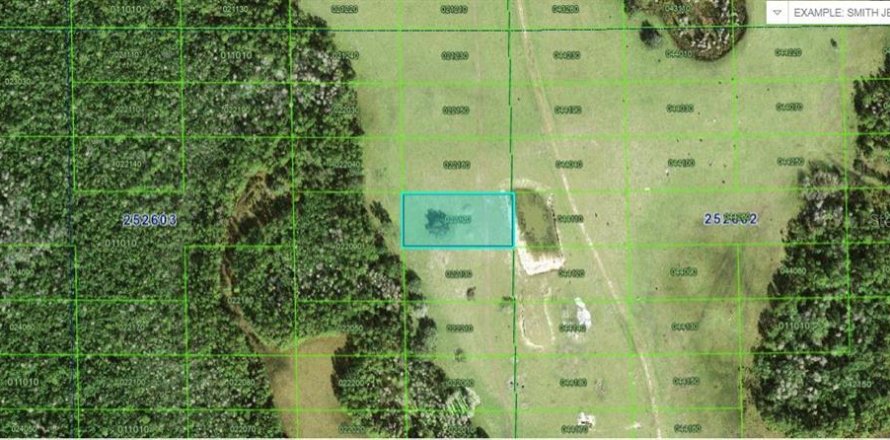 Terrain à Polk City, Floride № 2235104
