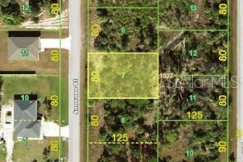 Land in Port Charlotte, Florida № 2161885