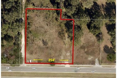 Land in Fruitland Park, Florida № 2232985